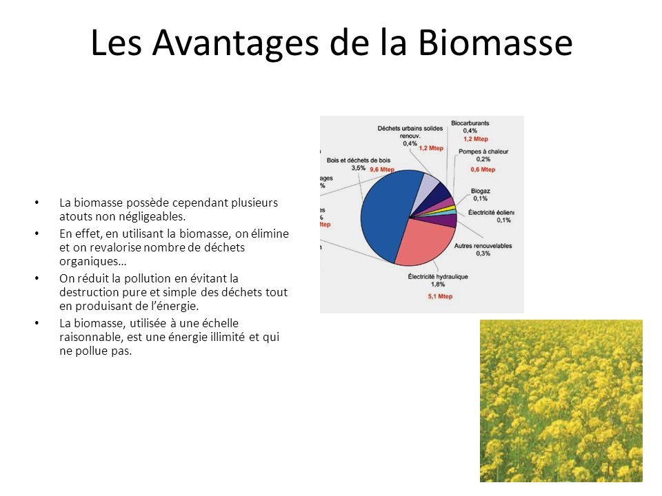 Les Avantages de la Biomasse
