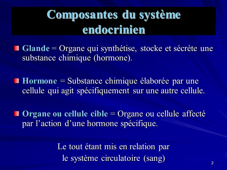 Composantes du système endocrinien