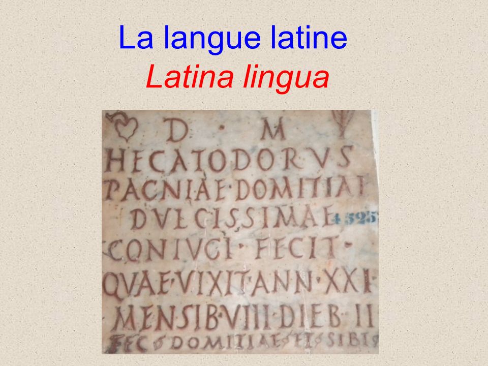 La langue latine Latina lingua