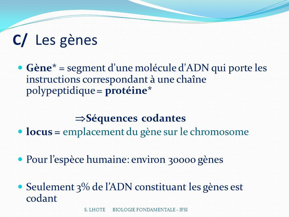 C/ Les gènes Gène* = segment d une molécule d ADN qui porte les instructions correspondant à une chaîne polypeptidique = protéine*