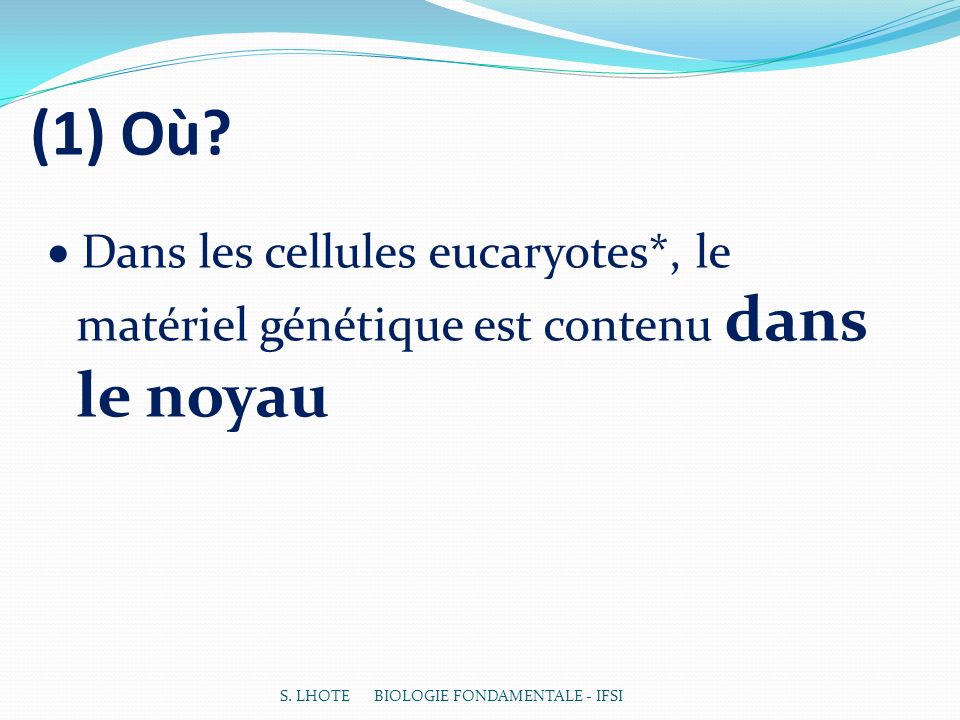 (1) Où.  Dans les cellules eucaryotes*, le matériel génétique est contenu dans le noyau.