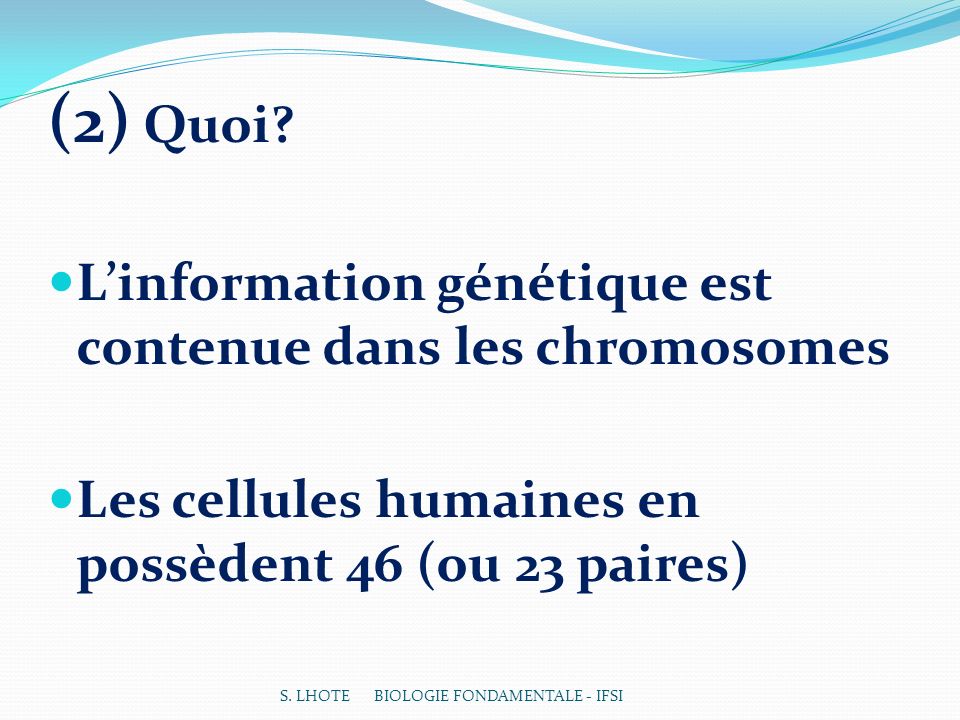 (2) Quoi L’information génétique est contenue dans les chromosomes