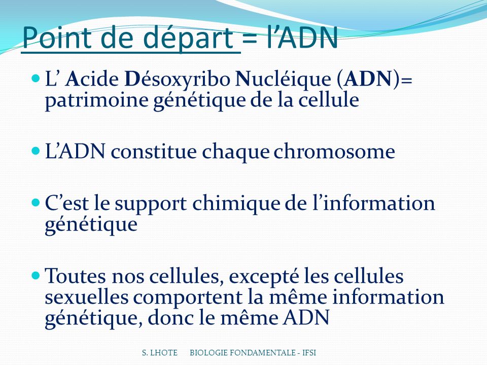 Point de départ = l’ADN L’ Acide Désoxyribo Nucléique (ADN)= patrimoine génétique de la cellule. L’ADN constitue chaque chromosome.