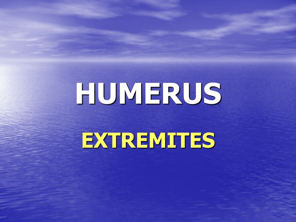 HUMERUS EXTREMITES