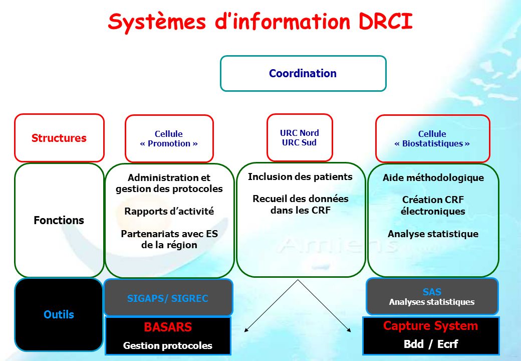 Systèmes d’information DRCI