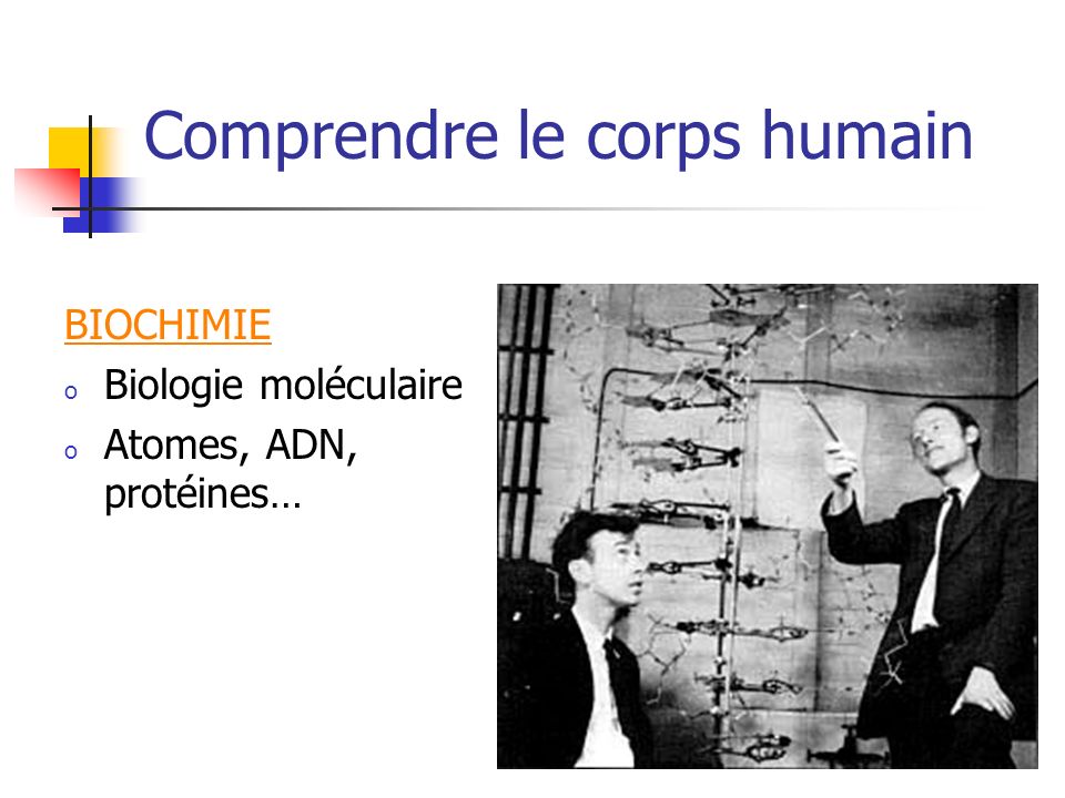 Comprendre le corps humain