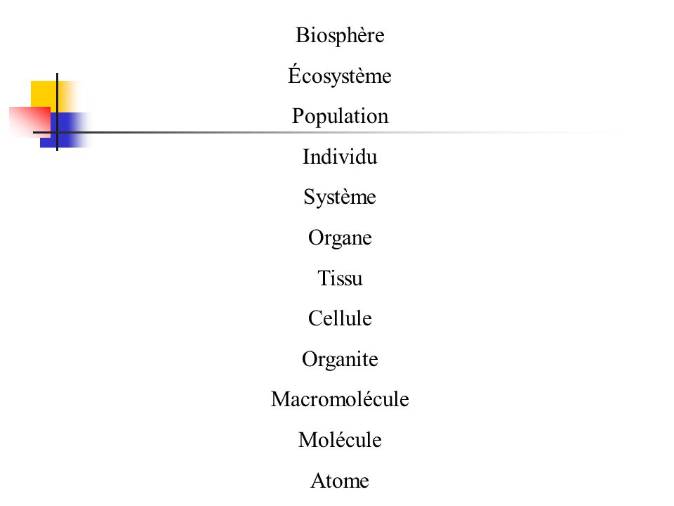 Biosphère Écosystème. Population. Individu. Système. Organe. Tissu. Cellule. Organite. Macromolécule.