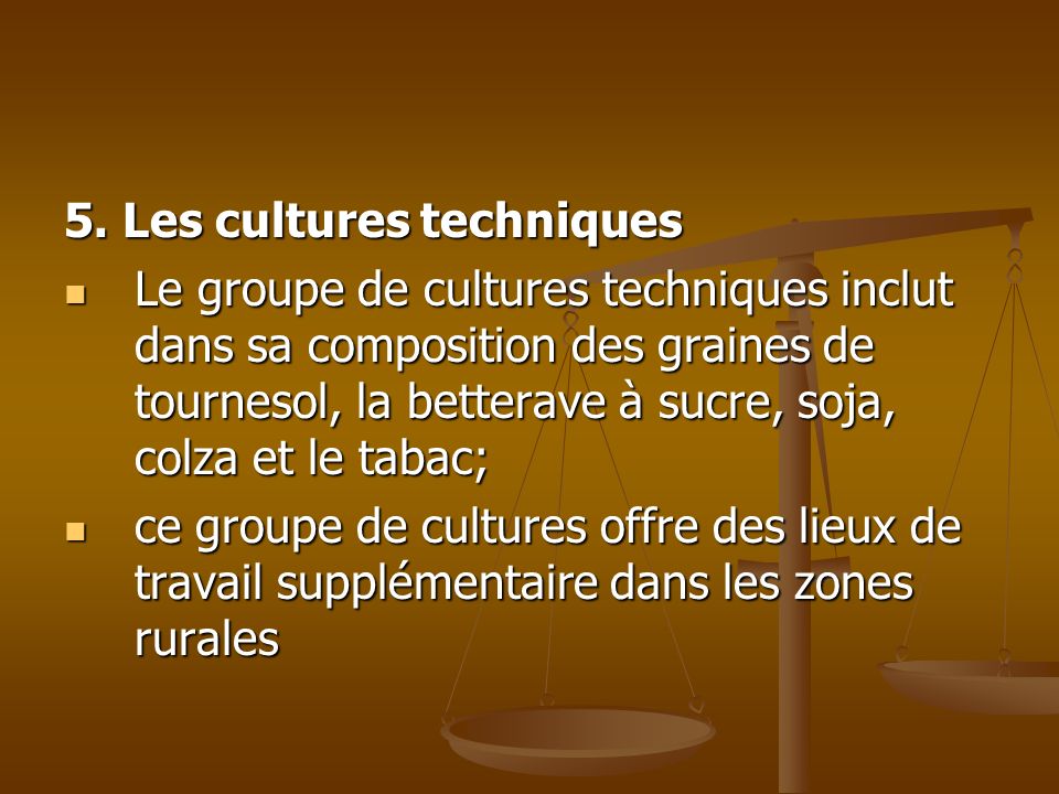 5. Les cultures techniques