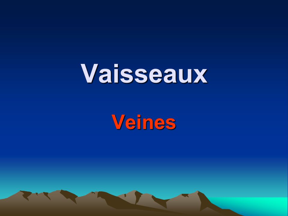 Vaisseaux Veines