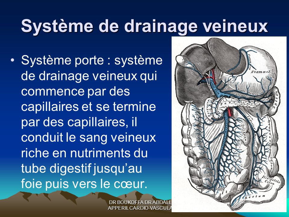 Système de drainage veineux