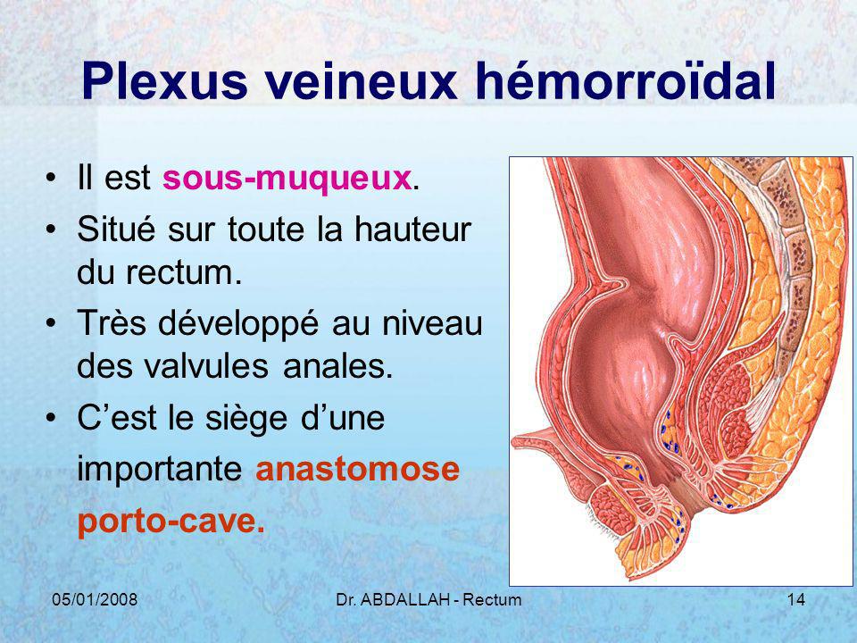 Plexus veineux hémorroïdal