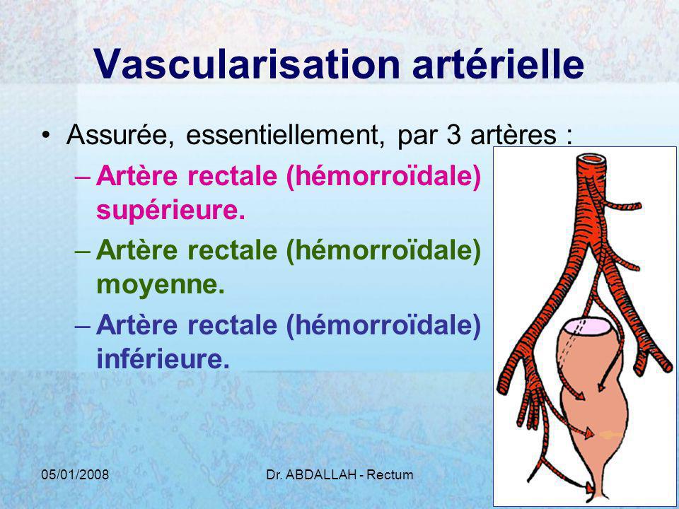 Vascularisation artérielle