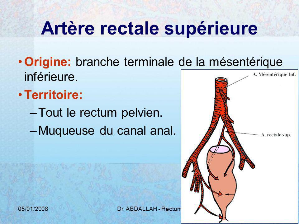 Artère rectale supérieure