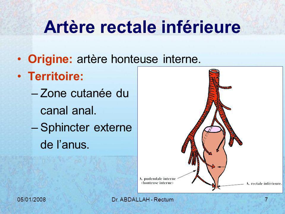 Artère rectale inférieure