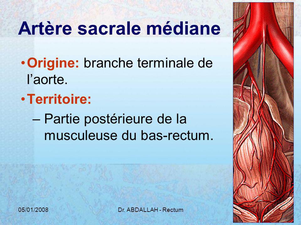 Artère sacrale médiane