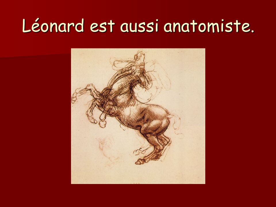 Léonard est aussi anatomiste.