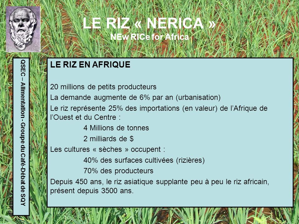 LE RIZ « NERICA » NEw RICe for Africa