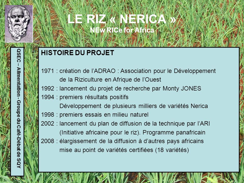 LE RIZ « NERICA » NEw RICe for Africa