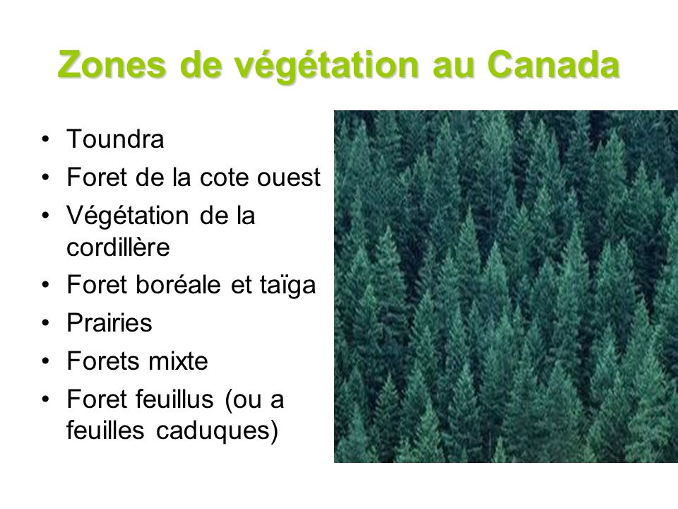Zones de végétation au Canada
