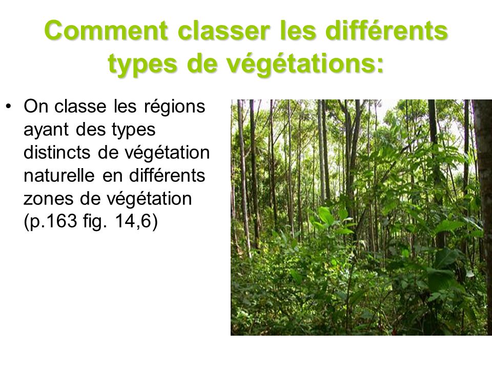 Comment classer les différents types de végétations: