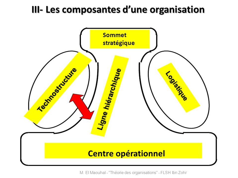 III- Les composantes d’une organisation