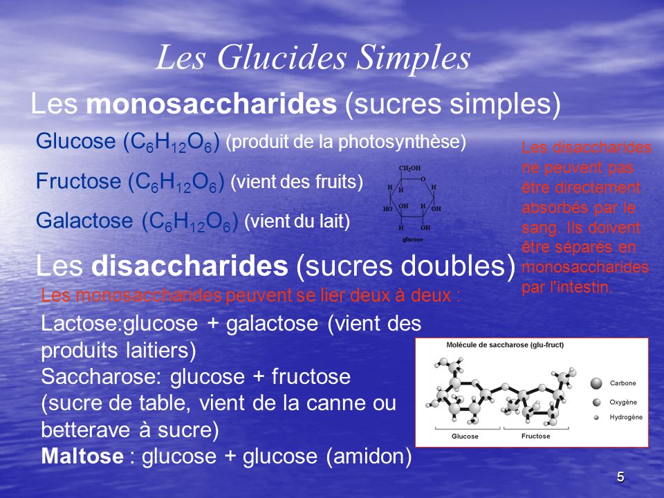 Les Glucides Simples Les monosaccharides (sucres simples)