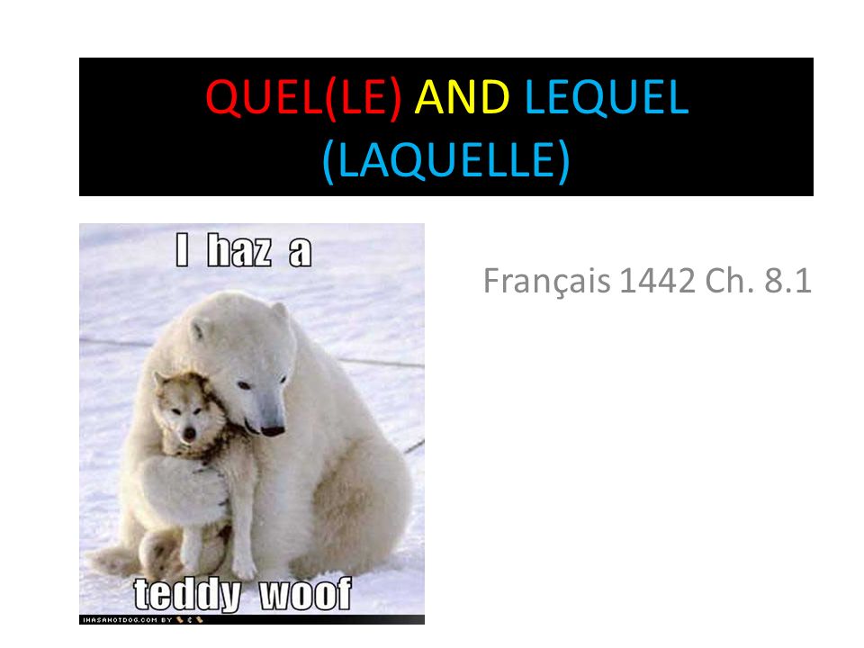 QUEL(LE) AND LEQUEL (LAQUELLE)