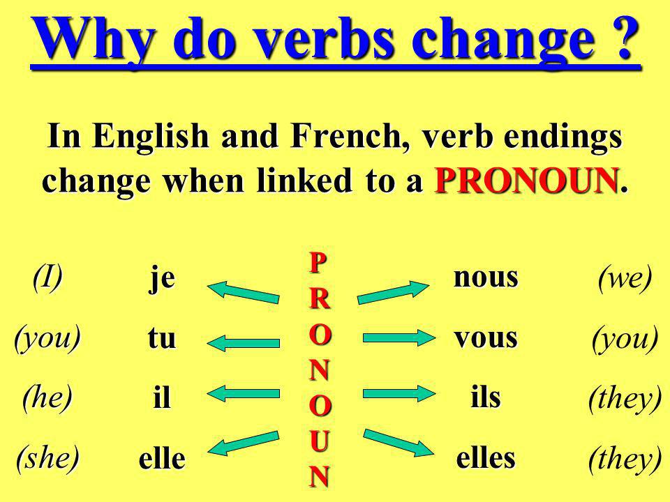 In English and French, verb endings change when linked to a PRONOUN.