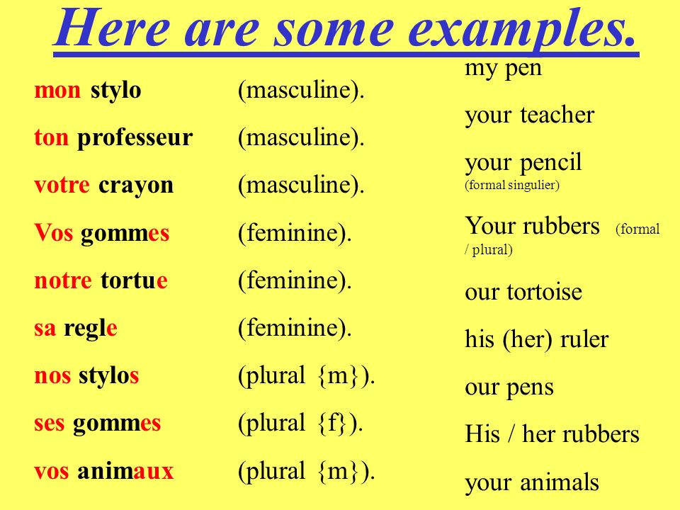 Here are some examples. my pen your teacher mon stylo (masculine).