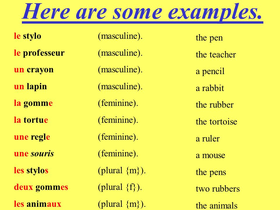Here are some examples. le stylo (masculine). the pen