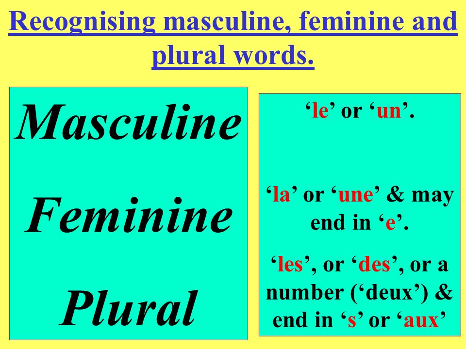 Masculine Feminine Plural