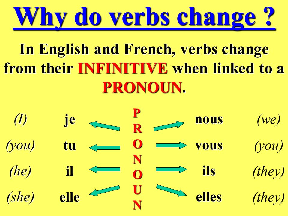 Why do verbs change In English and French, verbs change from their INFINITIVE when linked to a PRONOUN.