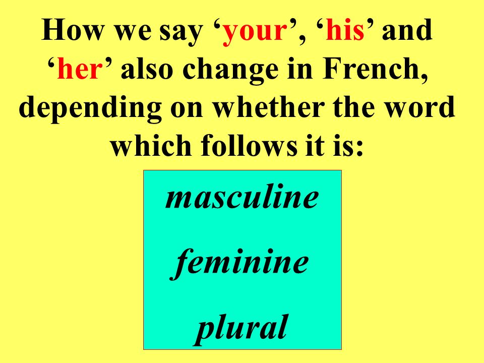 masculine feminine plural