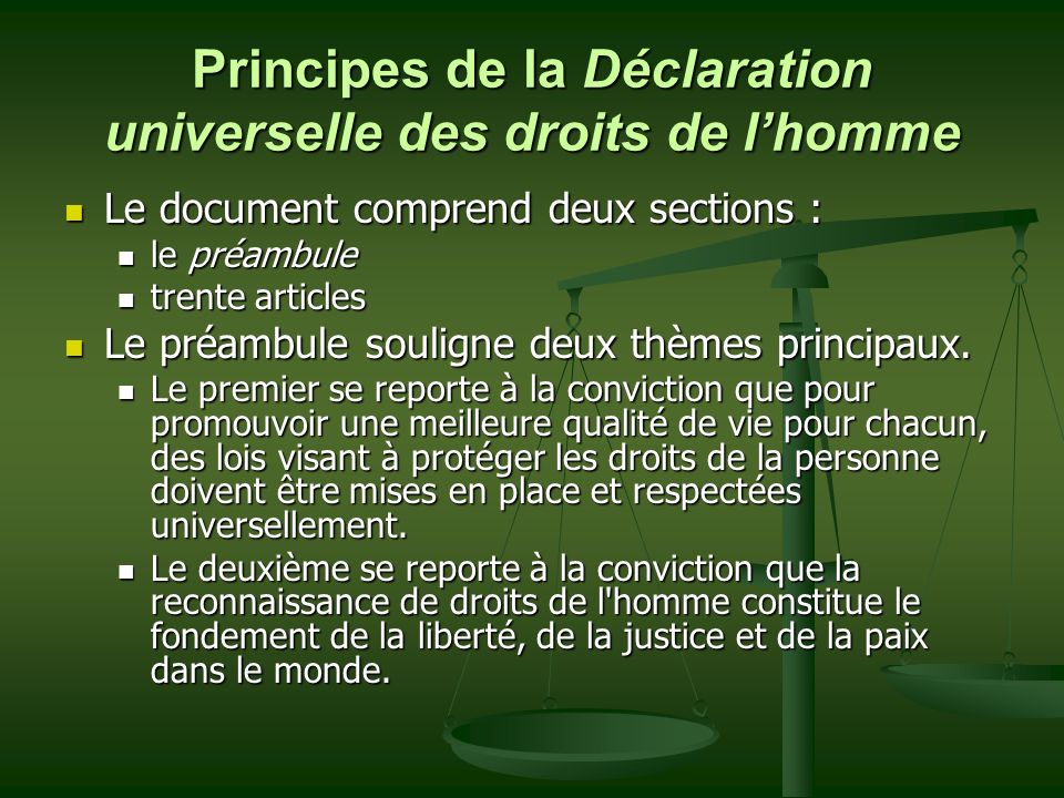 Principes de la Déclaration universelle des droits de l’homme