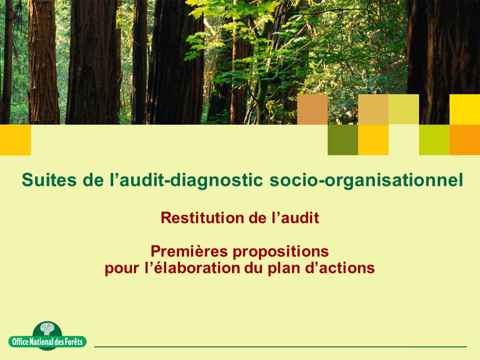 Suites de l’audit-diagnostic socio-organisationnel Restitution de l’audit Premières propositions pour l’élaboration du plan d’actions