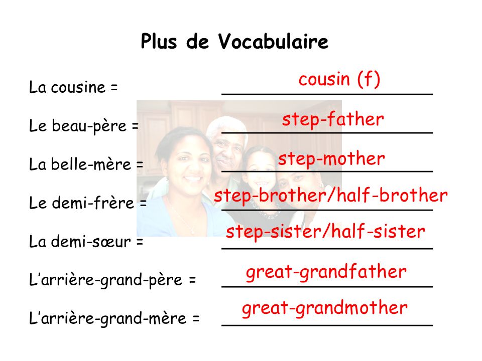 Plus de Vocabulaire cousin (f) step-father step-mother