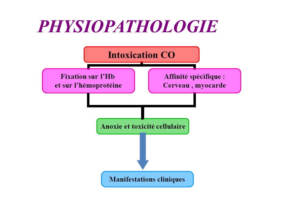 PHYSIOPATHOLOGIE