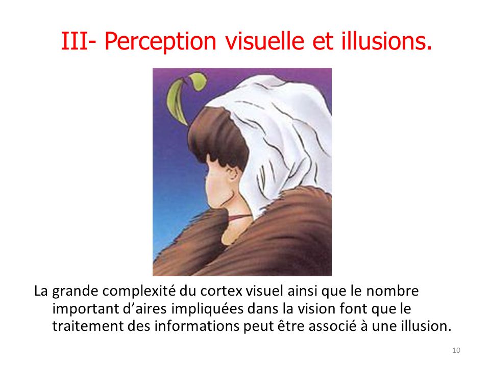 III- Perception visuelle et illusions.