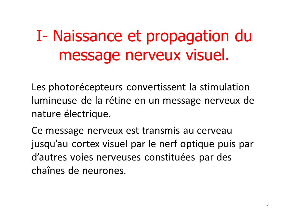 I- Naissance et propagation du message nerveux visuel.
