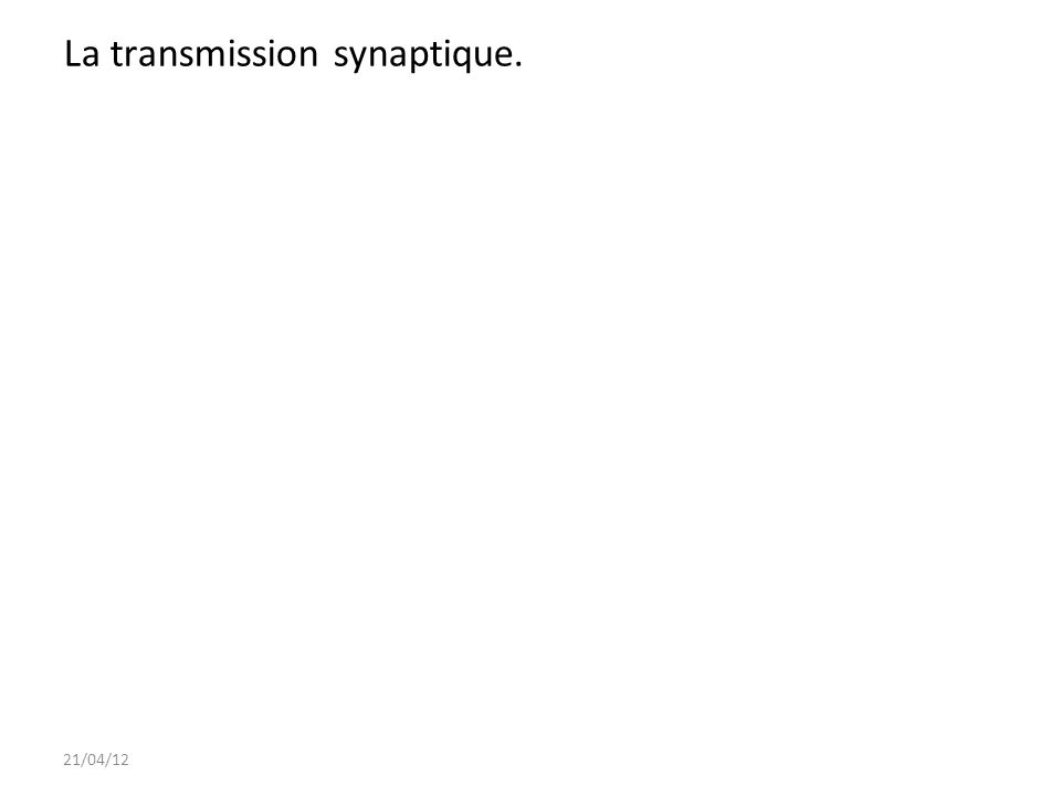 La transmission synaptique.