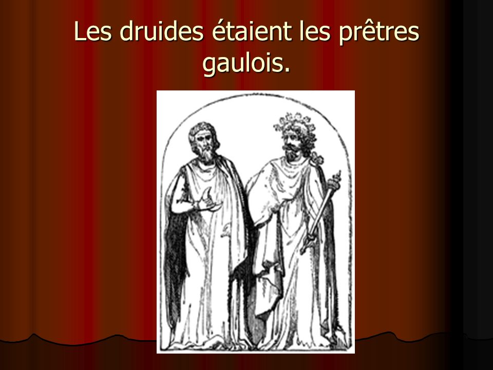 Les druides étaient les prêtres gaulois.
