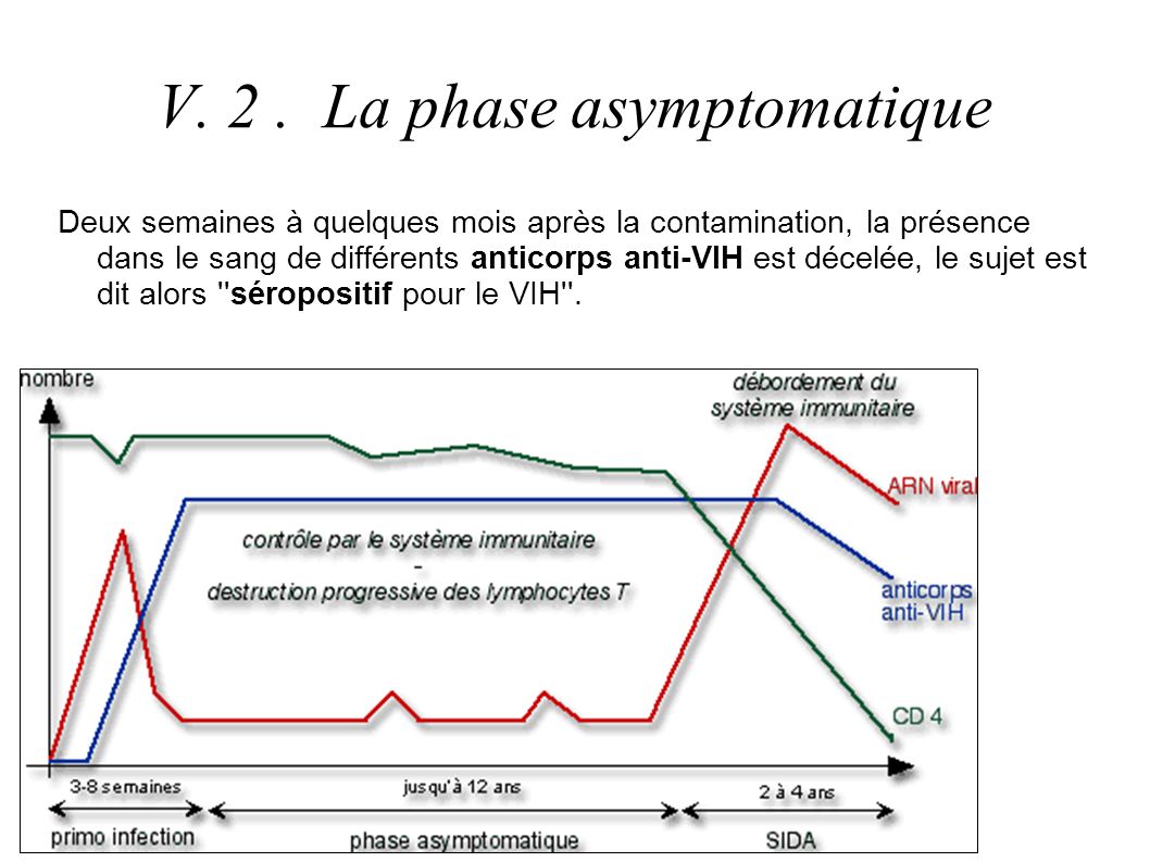 V. 2 . La phase asymptomatique