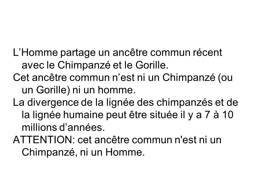 L’Homme partage un ancêtre commun récent avec le Chimpanzé et le Gorille.