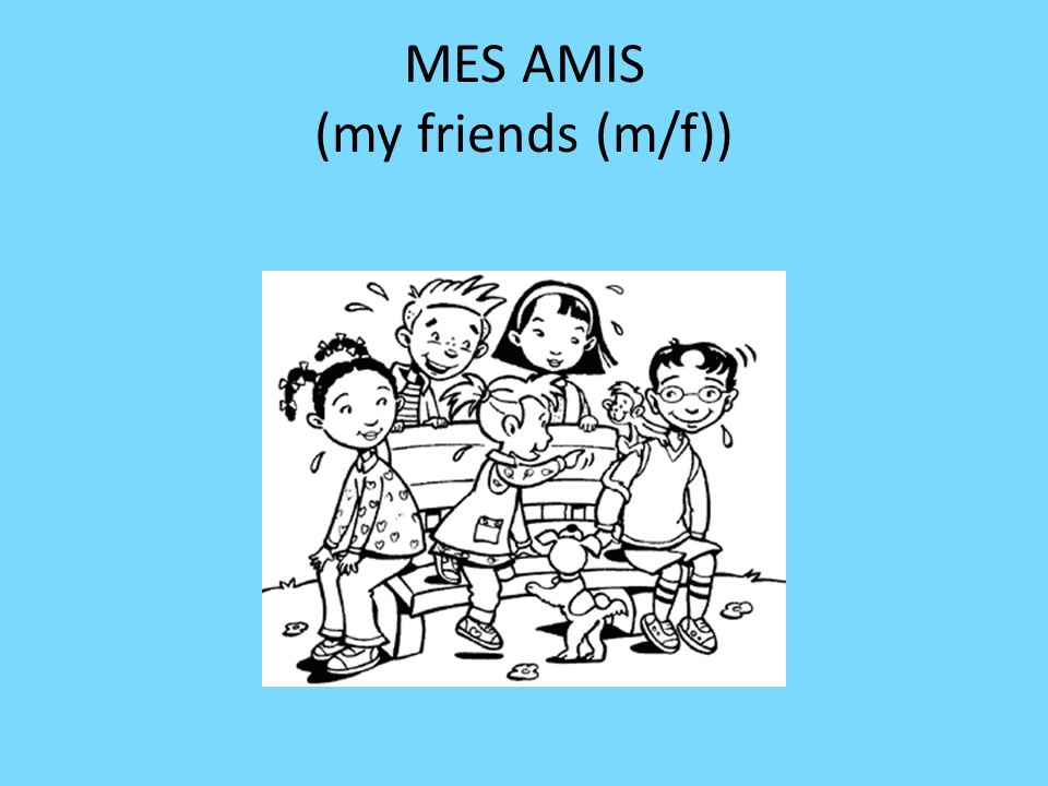 MES AMIS (my friends (m/f))