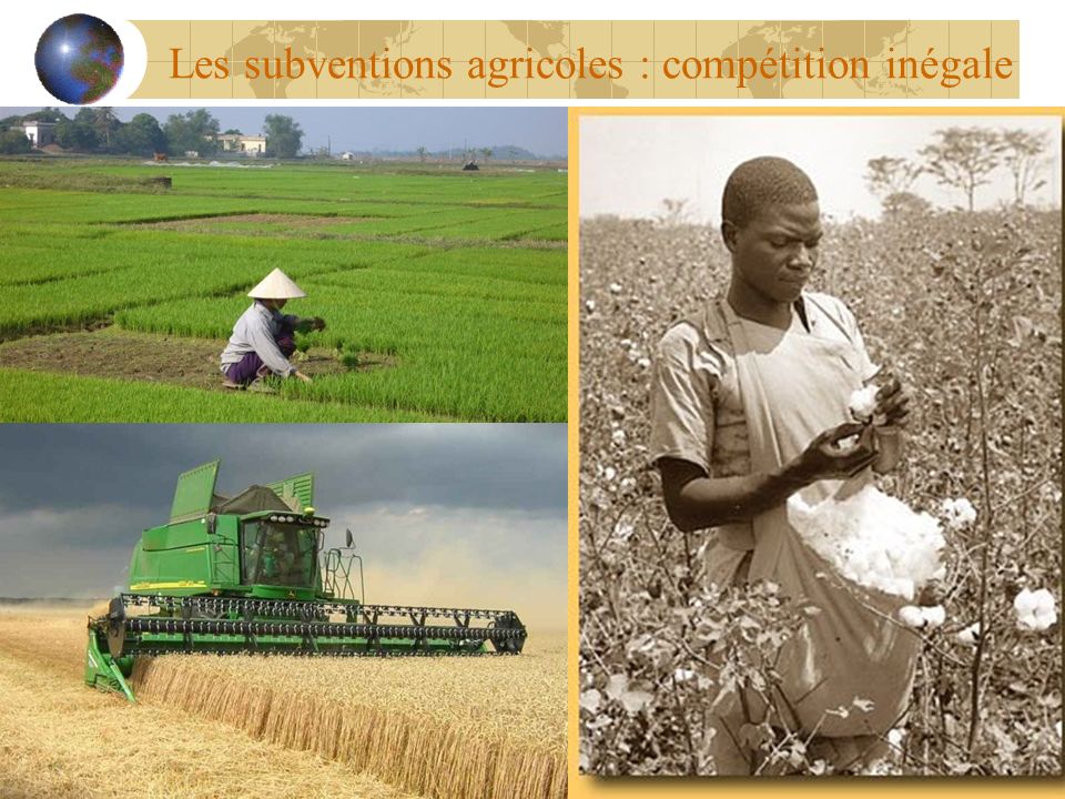 Les subventions agricoles : compétition inégale