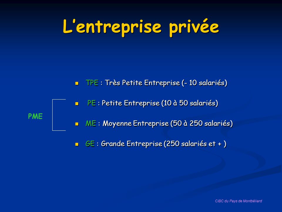 L’entreprise privée TPE : Très Petite Entreprise (- 10 salariés)