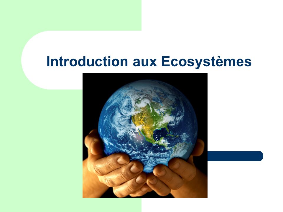 Introduction aux Ecosystèmes