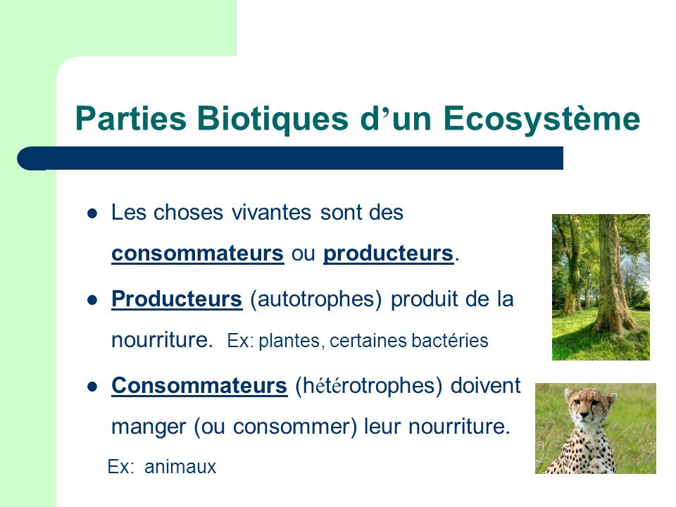 Parties Biotiques d’un Ecosystème