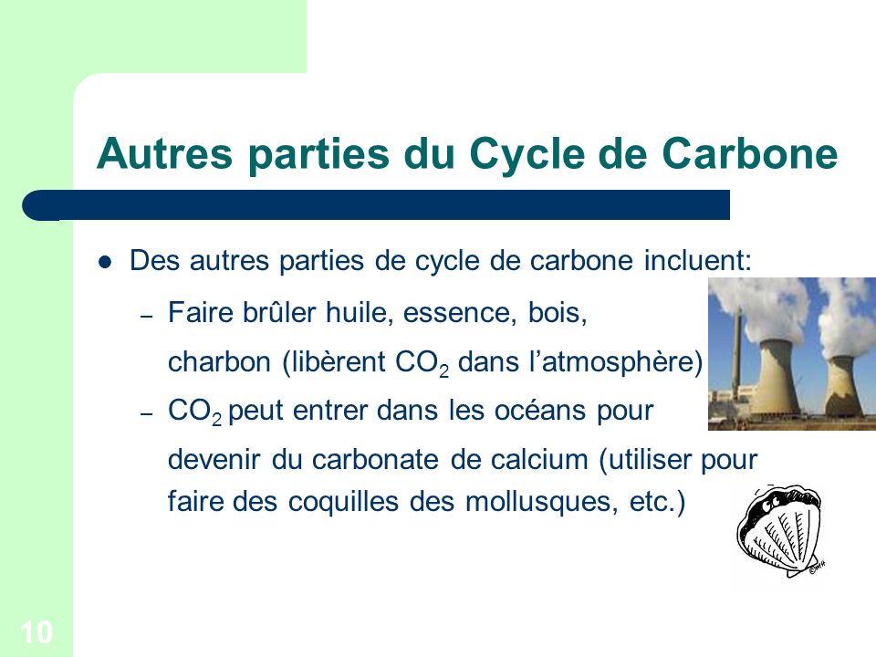 Autres parties du Cycle de Carbone