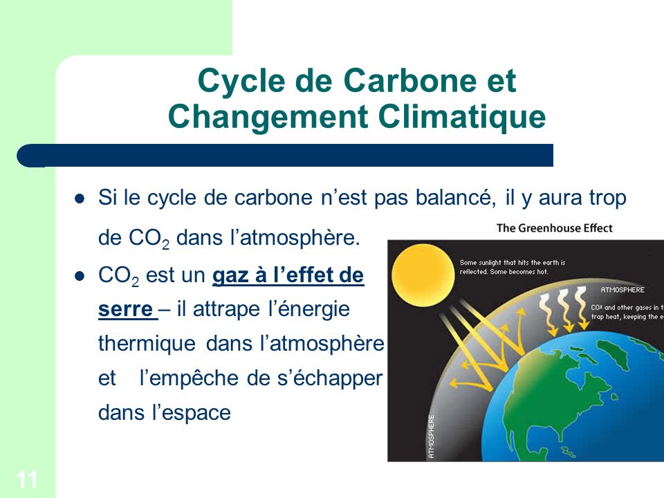 Cycle de Carbone et Changement Climatique